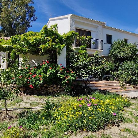 Cortijo Nerja Artist Paradise Экстерьер фото