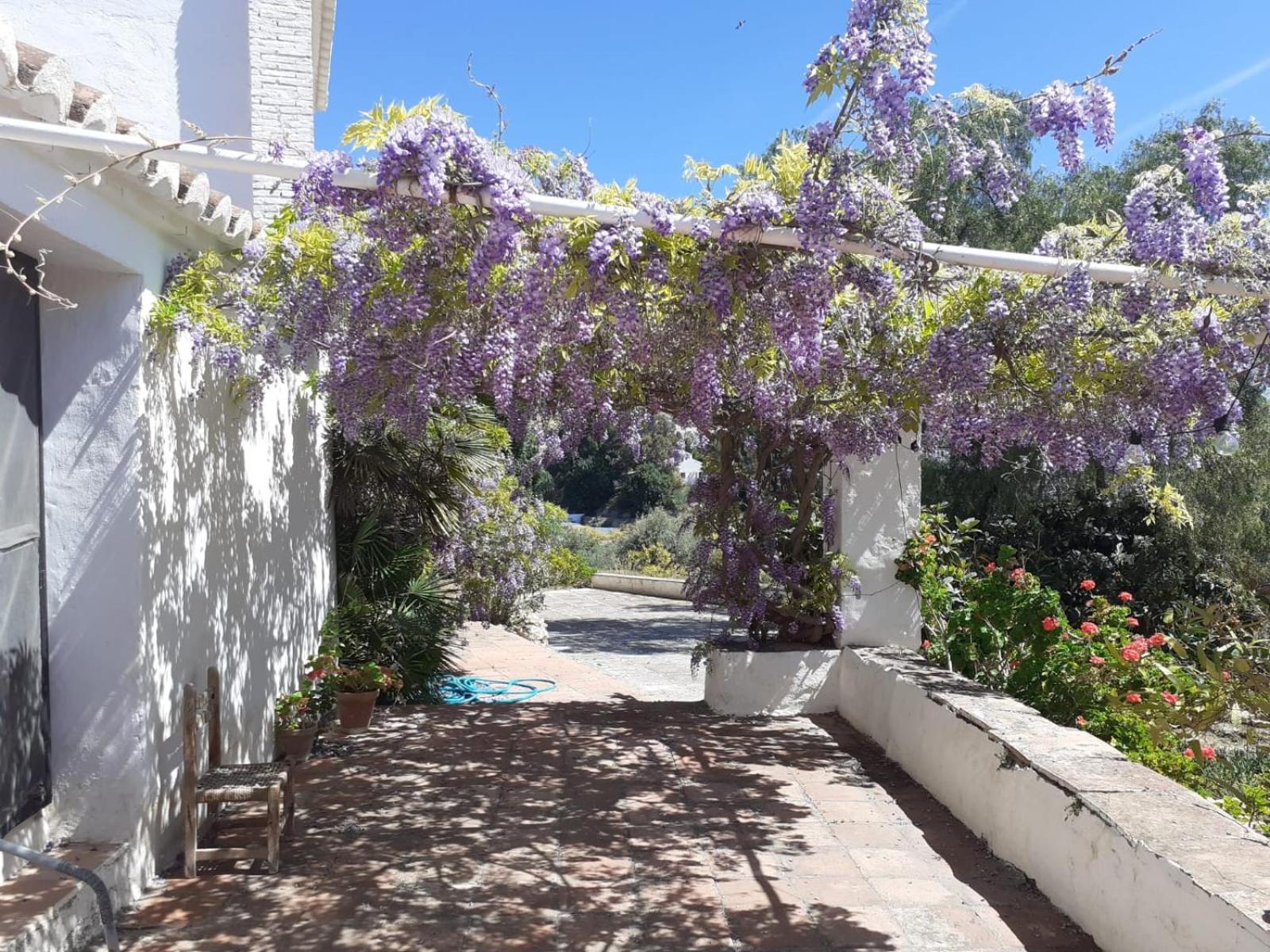 Cortijo Nerja Artist Paradise Экстерьер фото